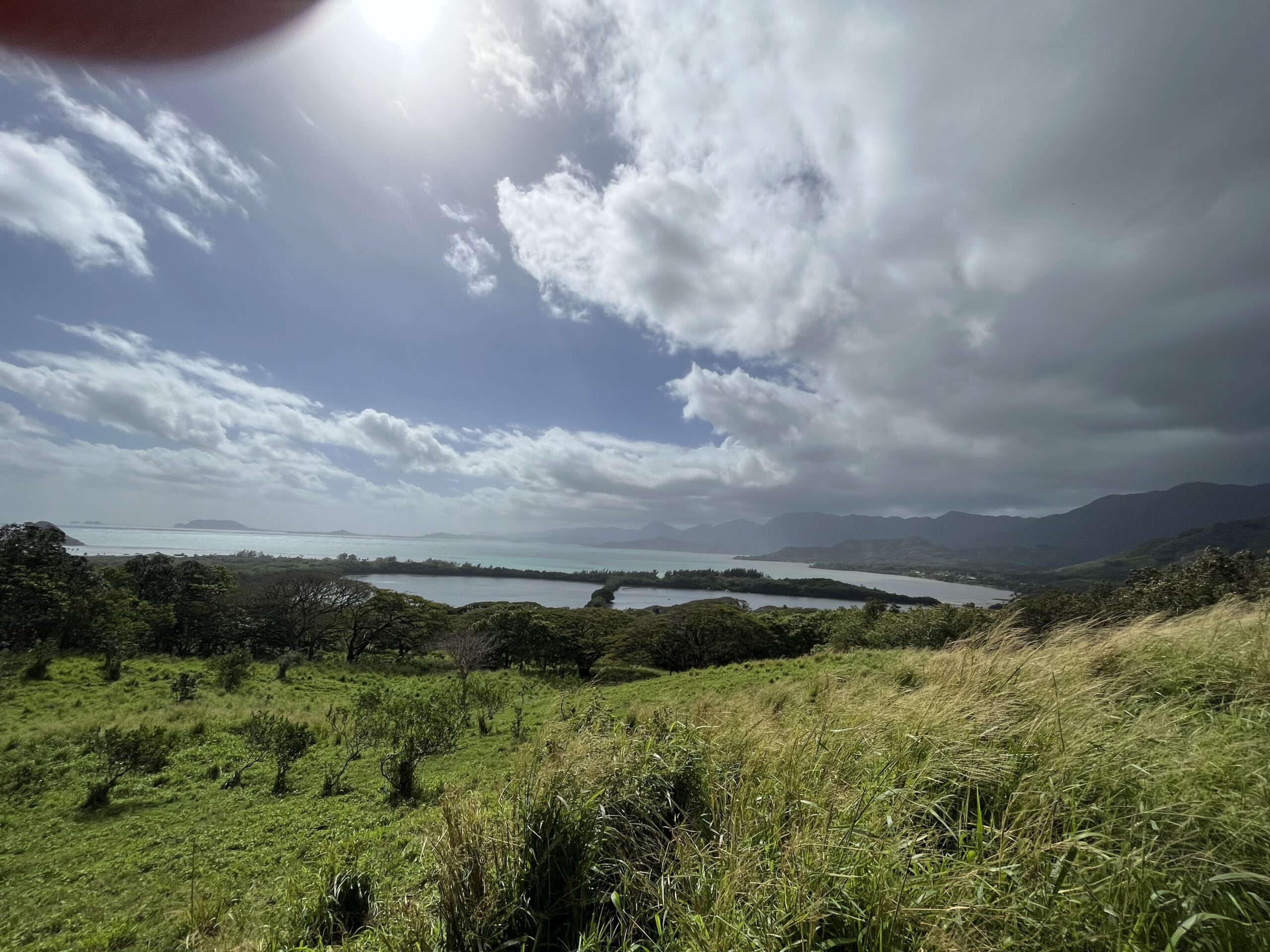 2BF1C1AD 4DD0 450C BDAB 9F0524B3EE69