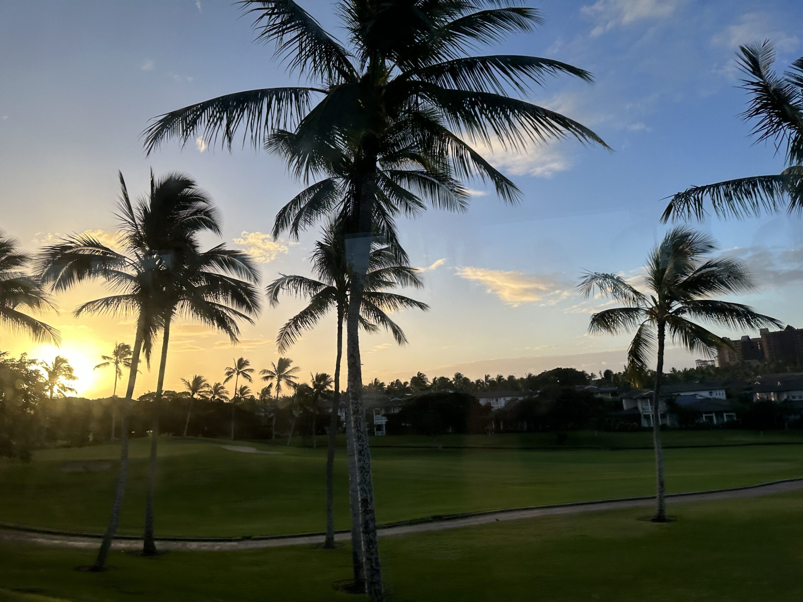 336AC445 E41C 4821 90D3 46EE7C18E293