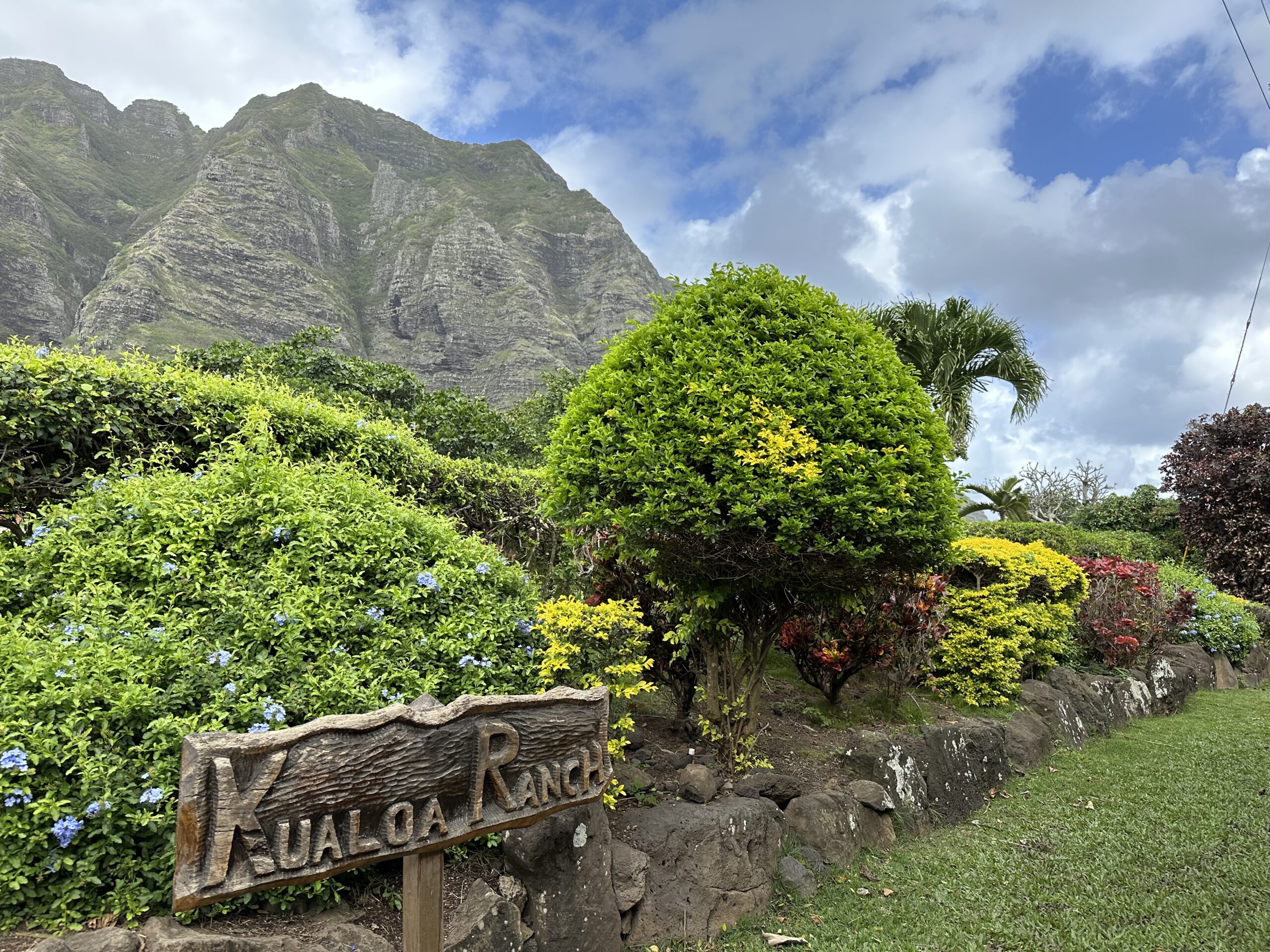 33F3C5A2 7305 4A61 931B 4EB6AF3AB3F4