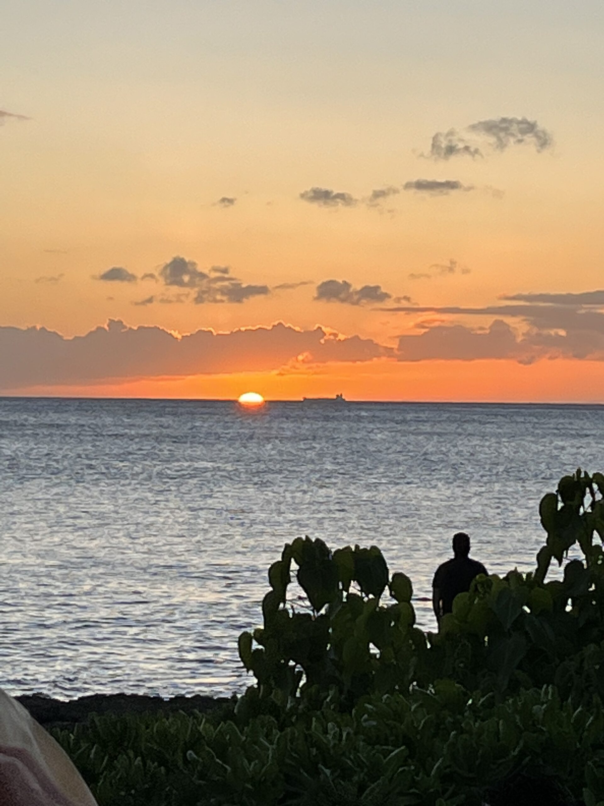 374AB4EC DDAC 4834 908A 6C8FFD92909B