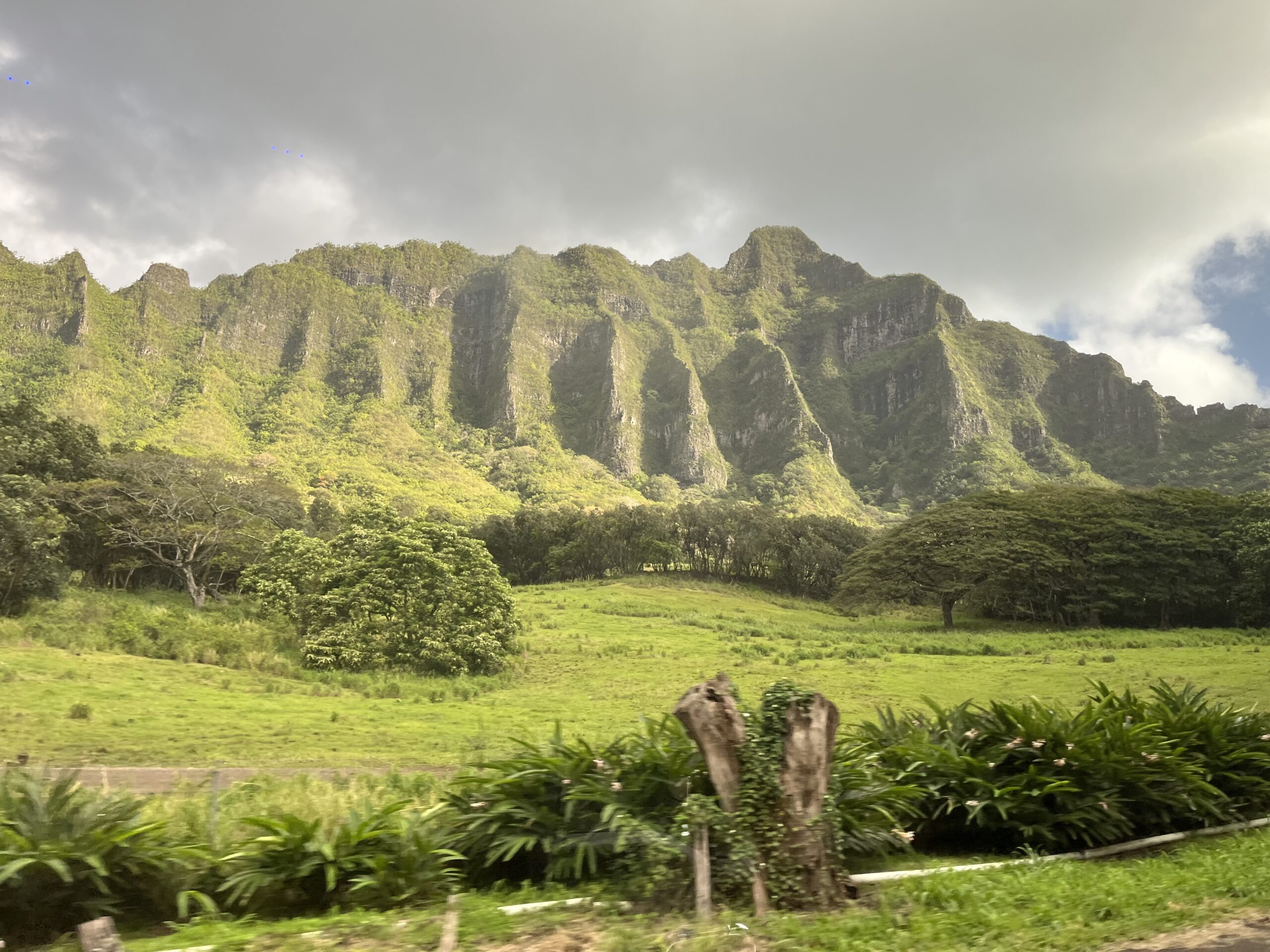 395612C3 4495 4F7E A53F 5D6167565BA3