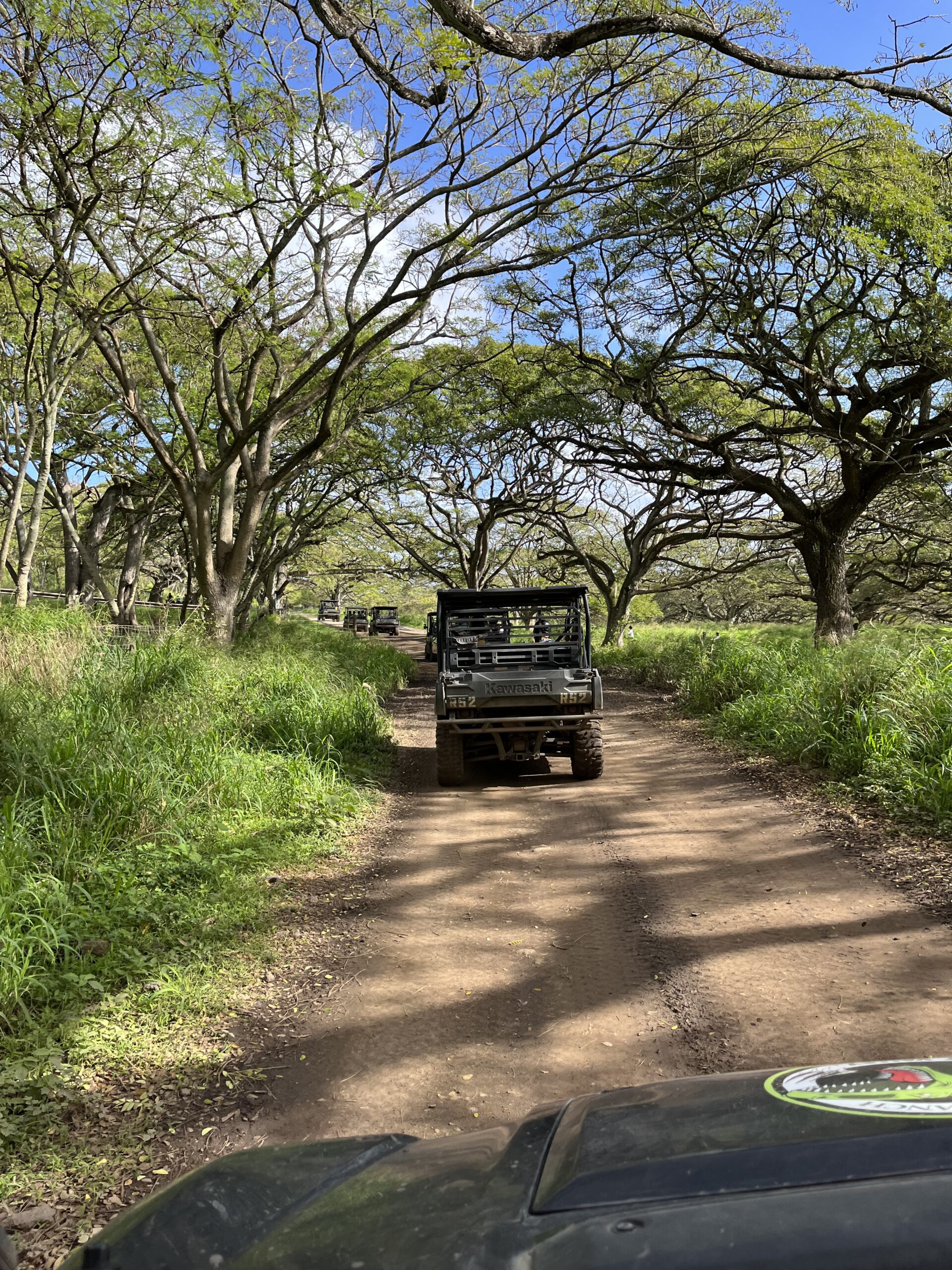 3A38479E 9D85 4CF5 8A04 307BFA479E93