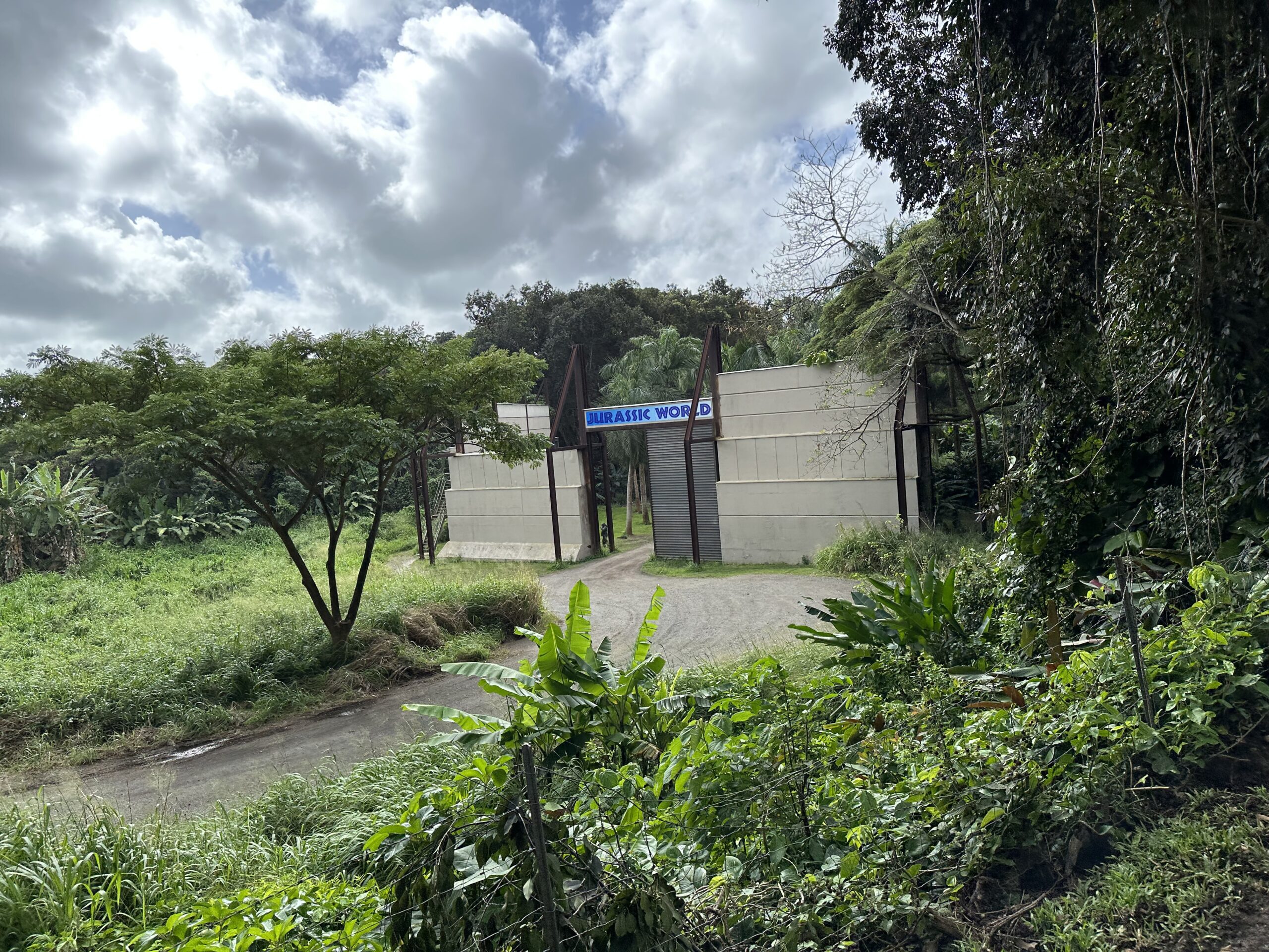 55CC5BF6 8383 4817 8CEF 70F6000E766C