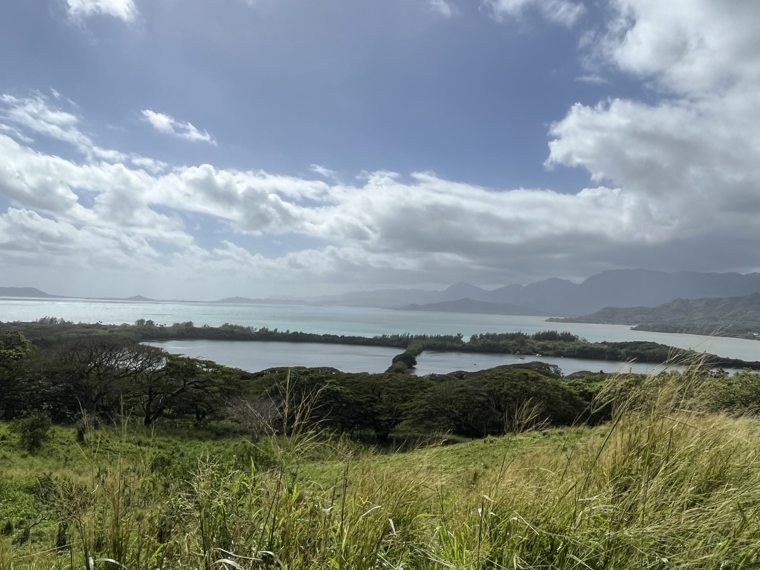 58FA8129 0D8F 45F6 AA78 C945345F4841