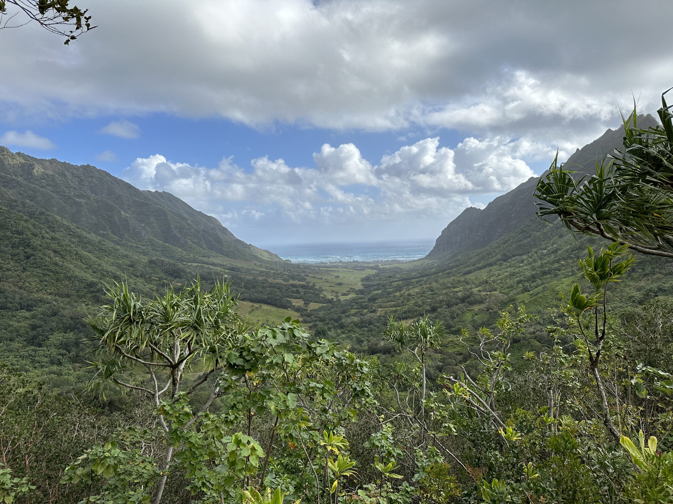 5D53BB01 09BB 4977 B424 E68838FB22C8