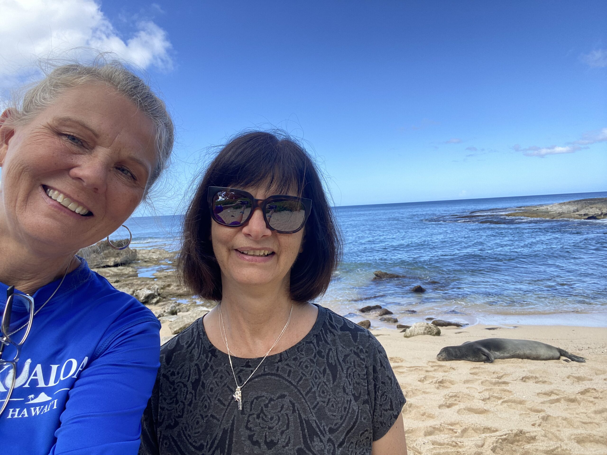 72DA79D8 91CC 4D26 9B05 3ECA7F3FA13A