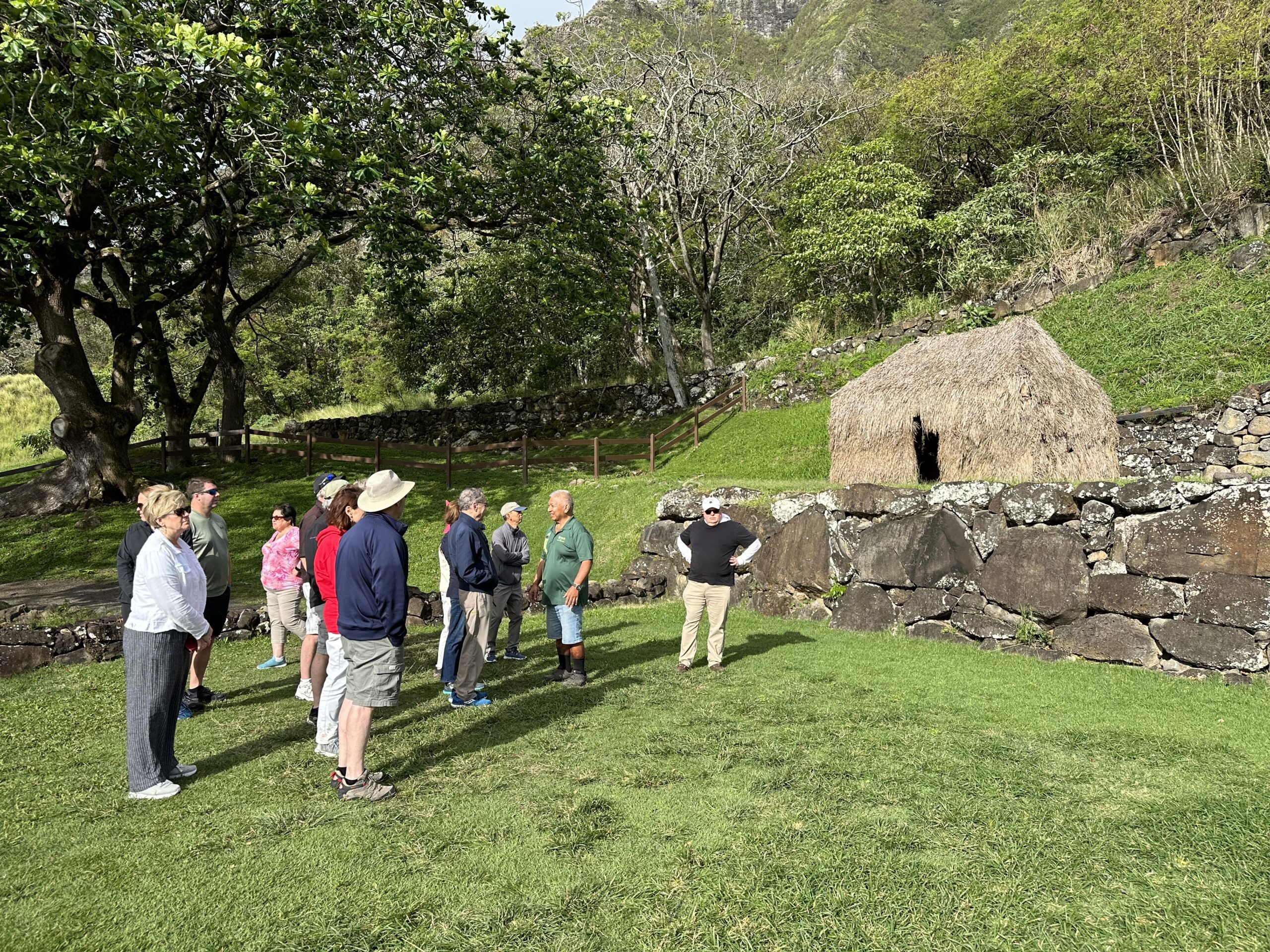 735294E6 0153 4706 8D74 5683C5826856