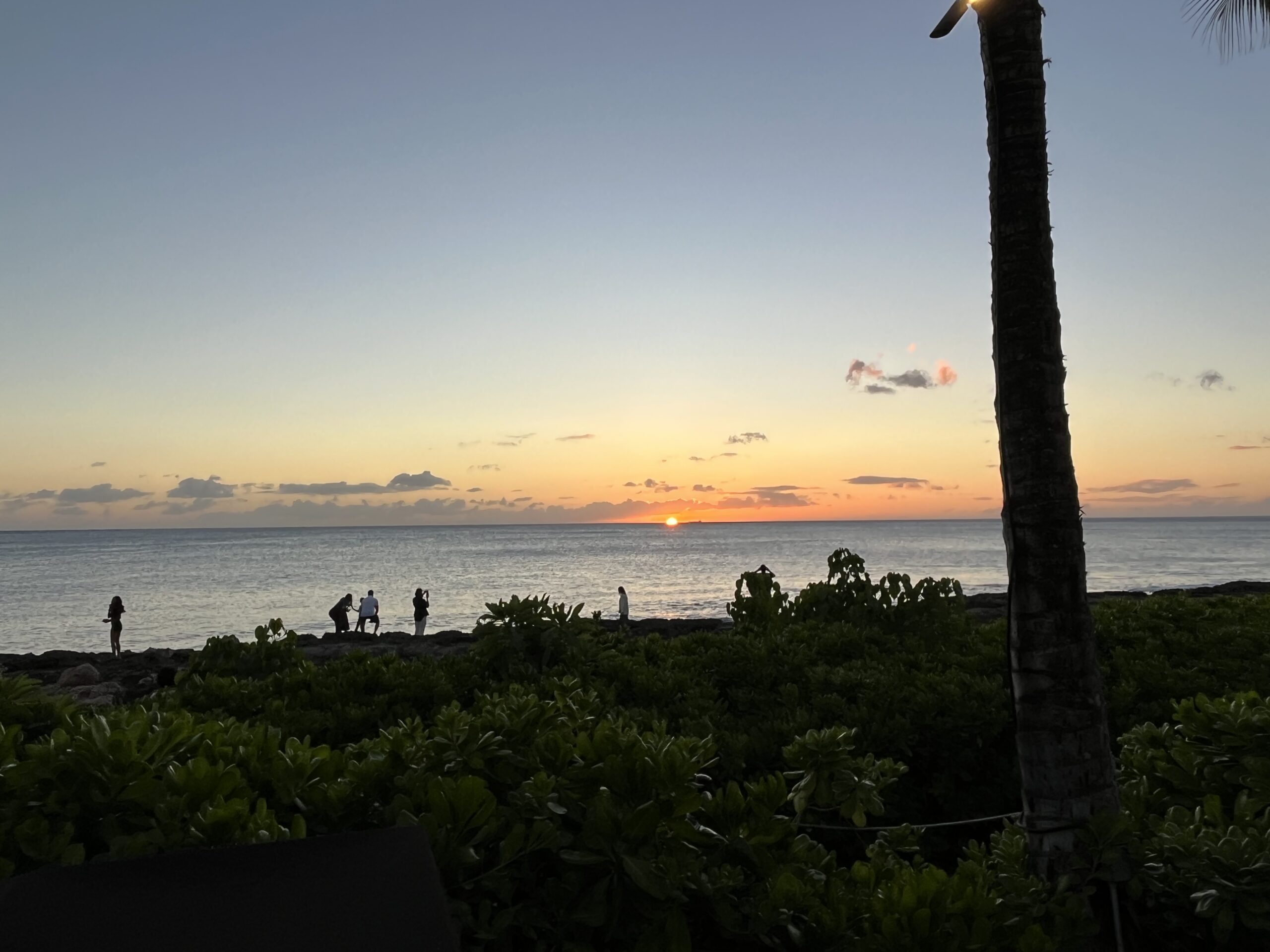 85BA6612 A022 41DA B54C FF7F7D35DBB4