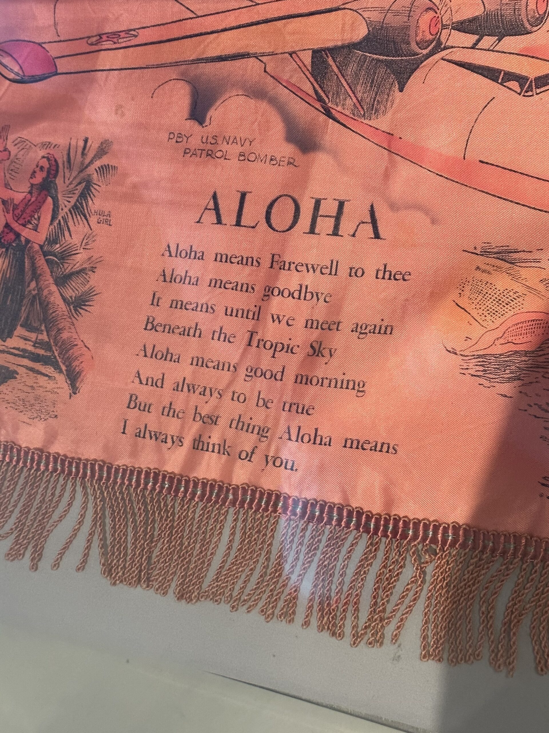 8ADA09D4 DFF4 4B9A 9F87 E9F0AAAE5F43