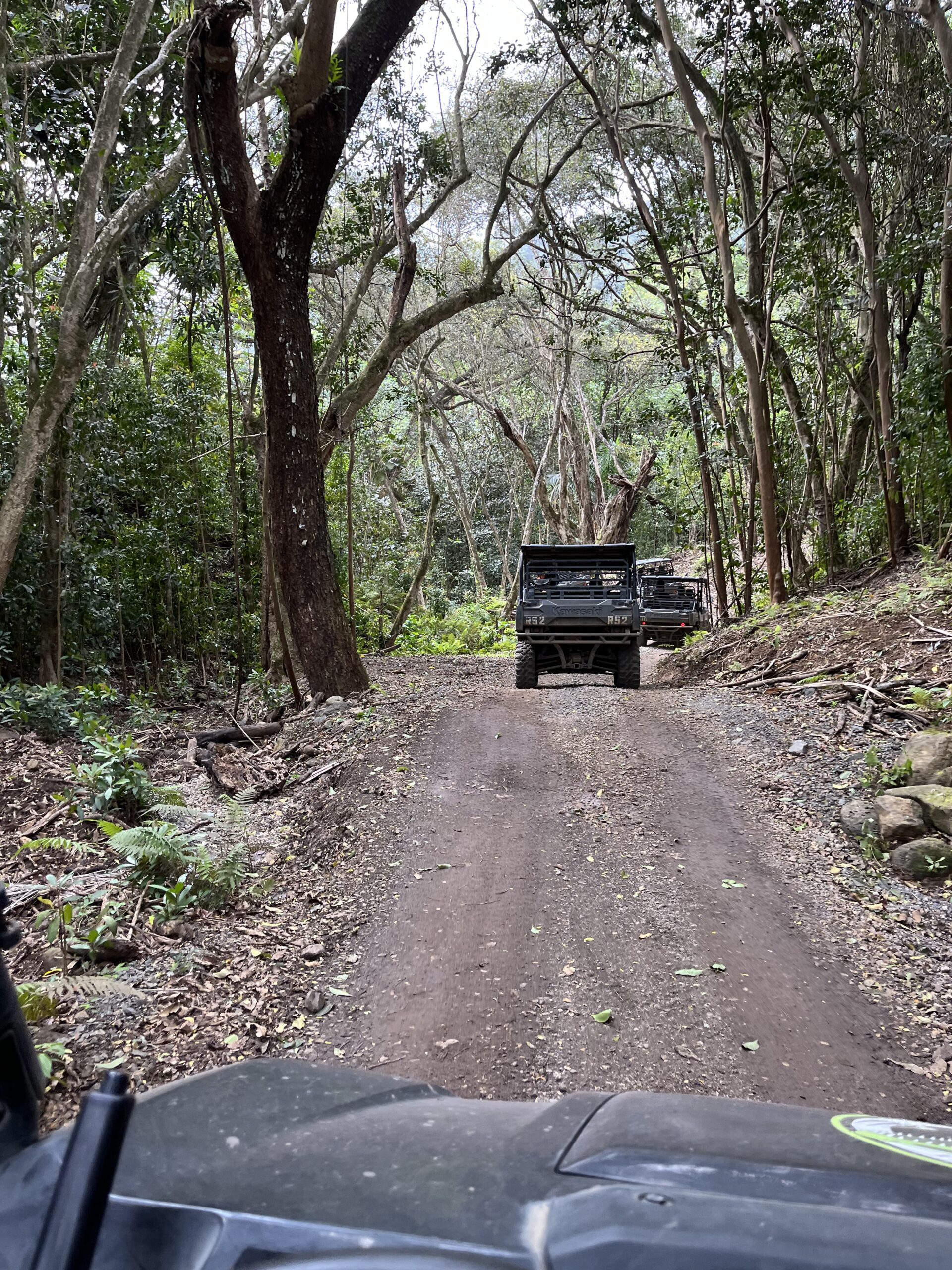 92D0C934 9BA3 468C A201 F5976A25C127