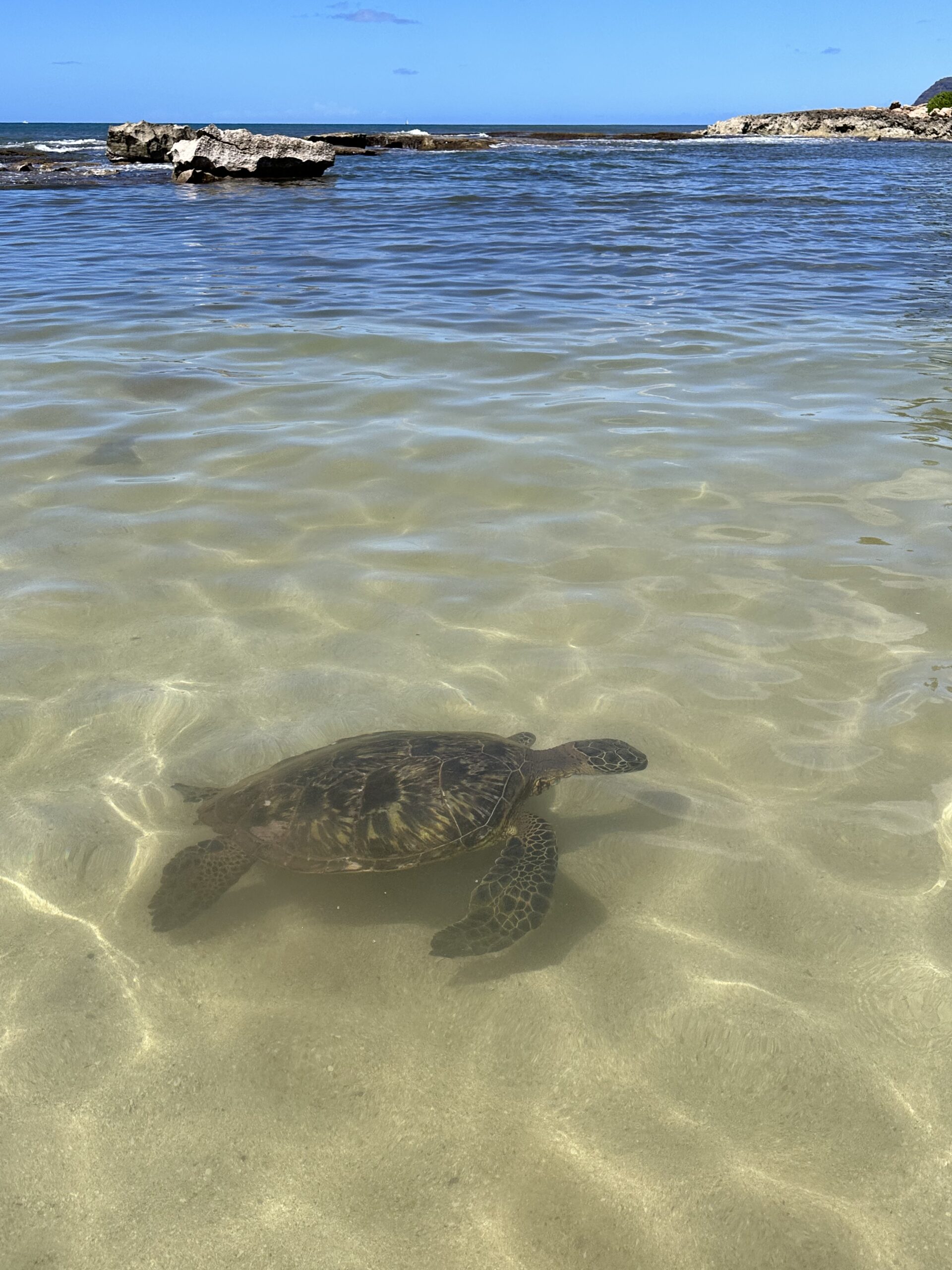 9D8AE390 24C5 47AF BEEE 9E5D17E65705