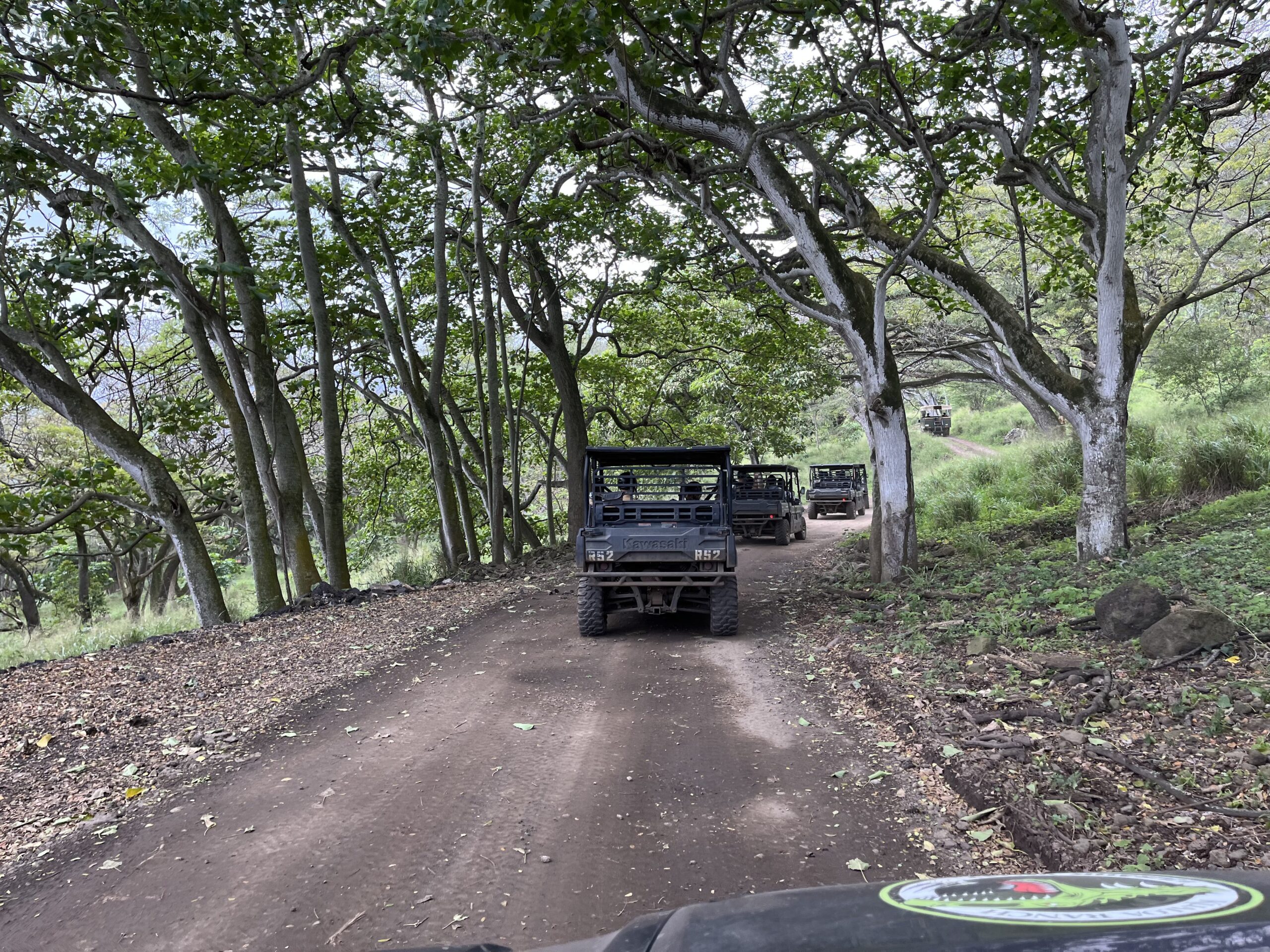 9E2E3B5A F46E 4E5C B69E 86AFCEB940B9