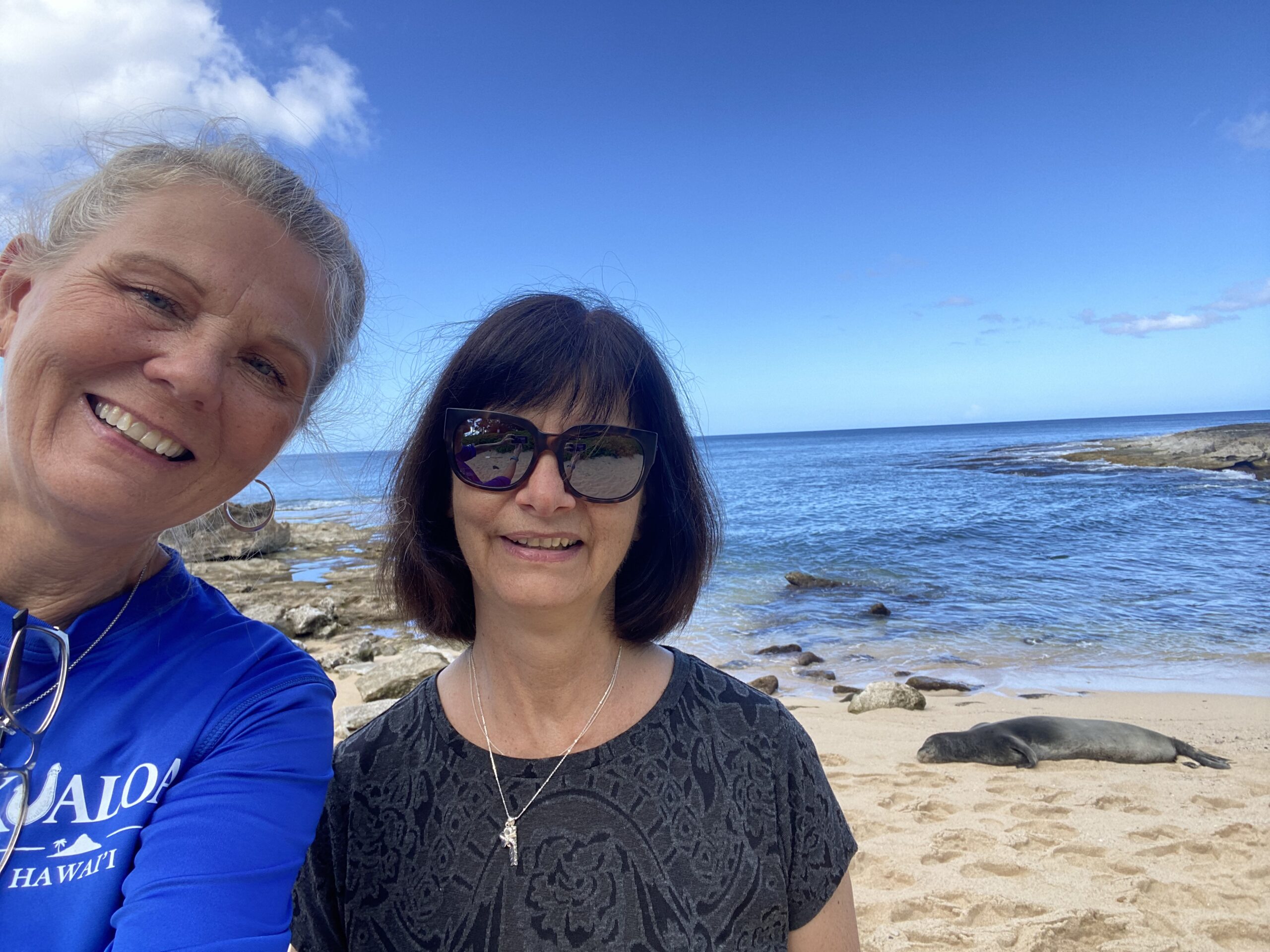 AB6954B8 E6F2 47EF 8DA3 A915C475ADC6