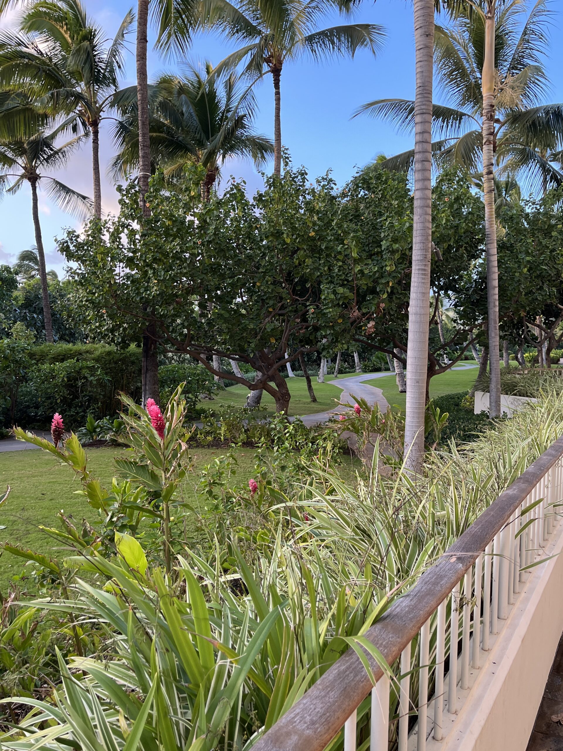 B338013D 5D5A 415C A5E0 08F6A5EE2D8D