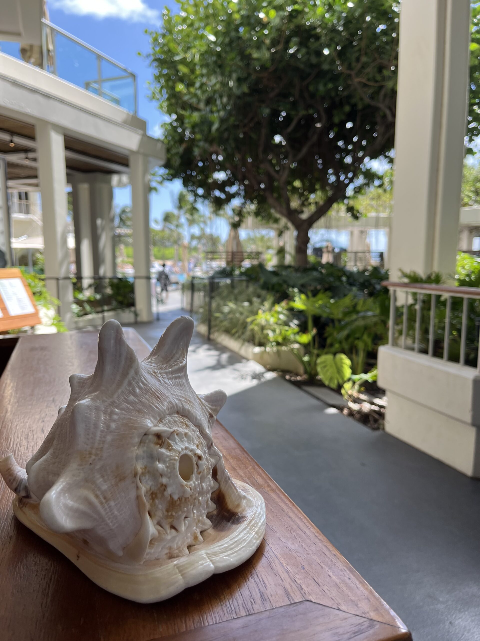 B9619489 3A35 4B41 956B 0D41540A81BD