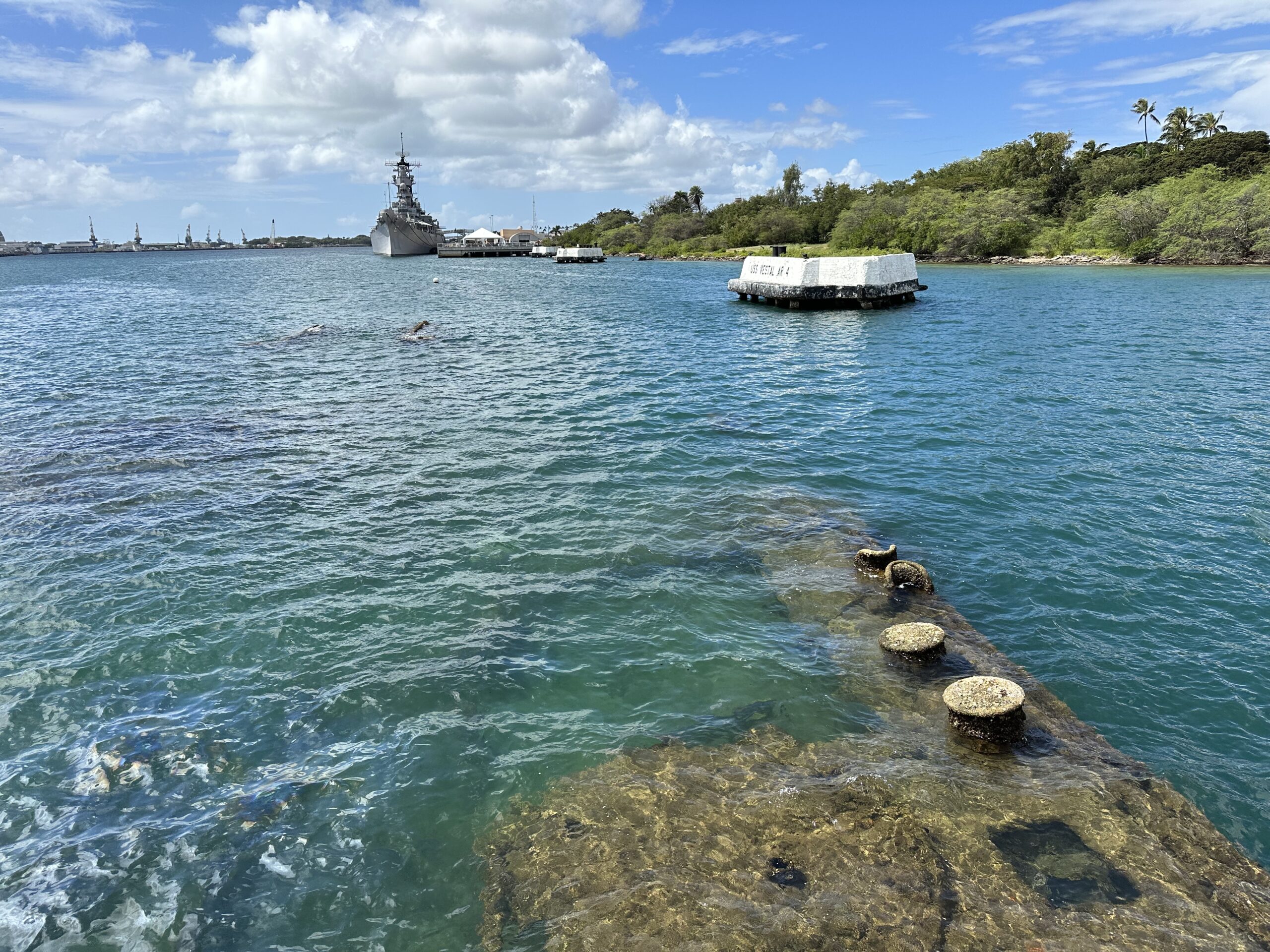 D21356CC ADA9 4EA1 A614 AD83778EEE0E