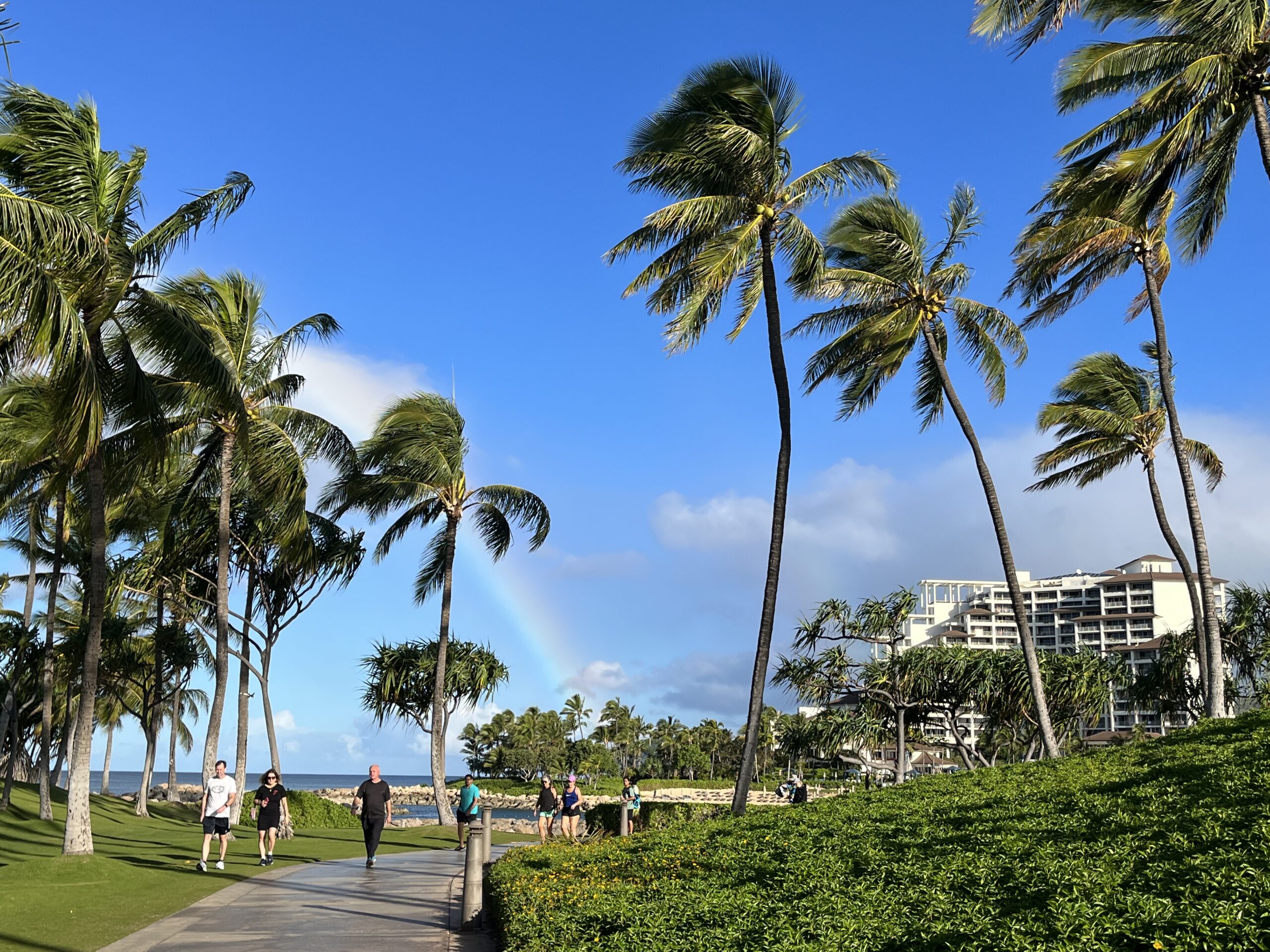 D8361E6C 3FF9 4CCF 8078 F5DF2342160E