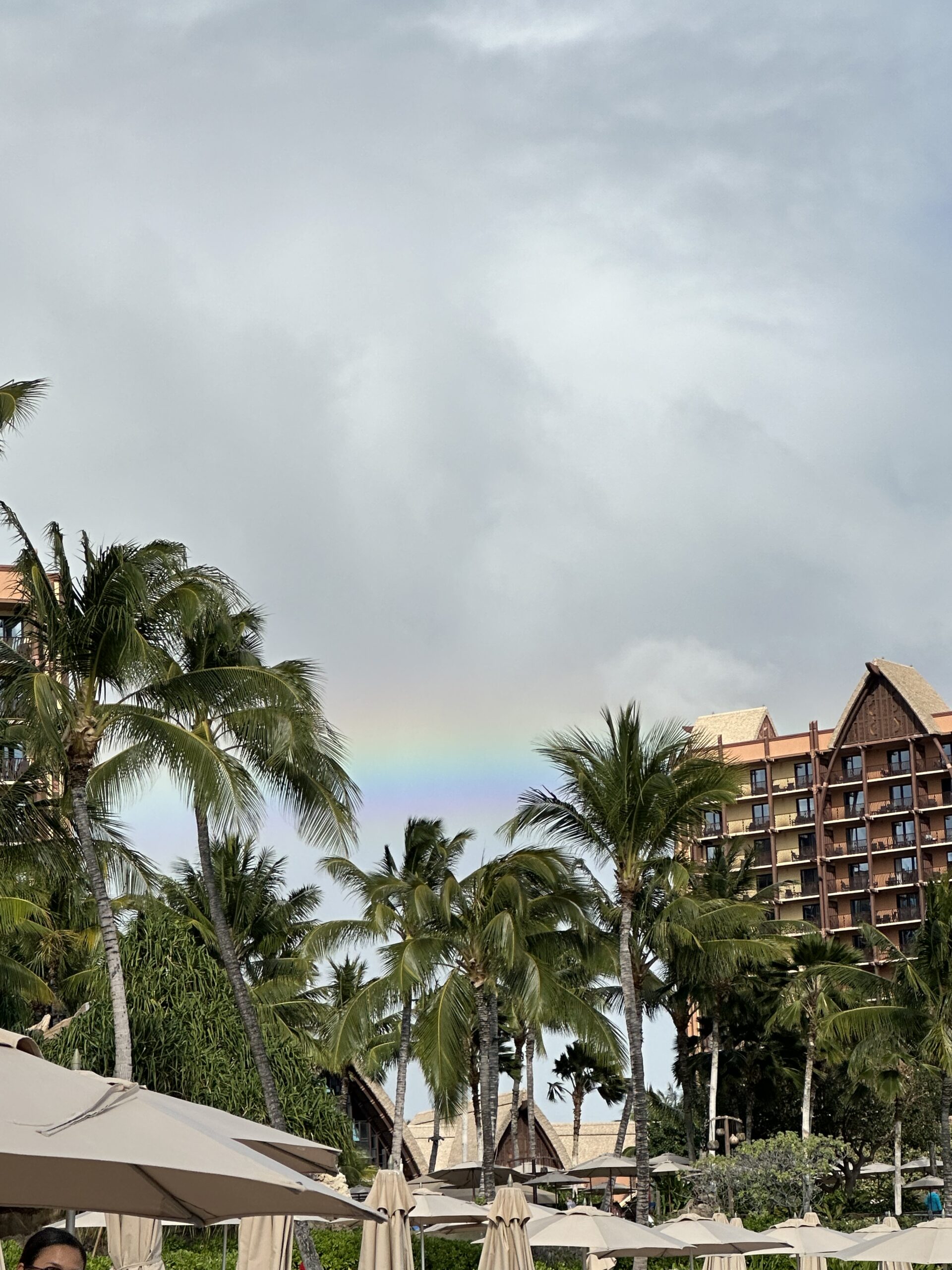 D99E2C60 2923 4595 87BE 63390383F8AE