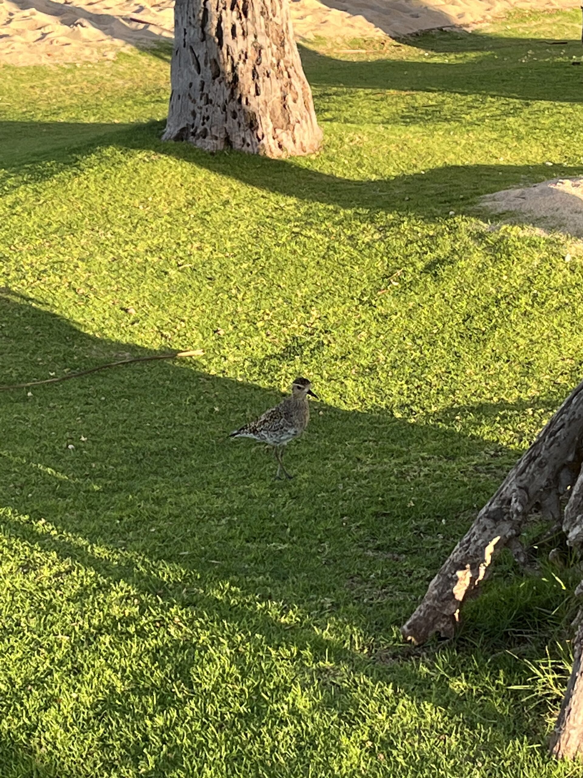 E3465C53 B18D 4317 9412 8ED8E8FFB857