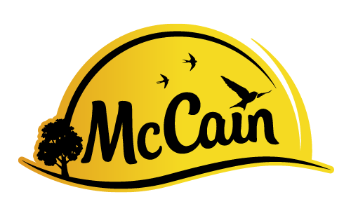 Mccain