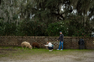 2026PC Charleston 05526