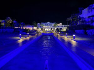 IMG 3726