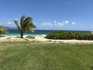 IMG 3781