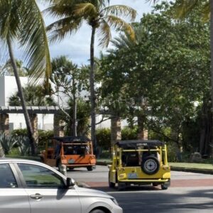IMG 4271