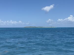 IMG 6858