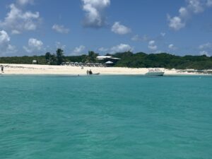 IMG 6859