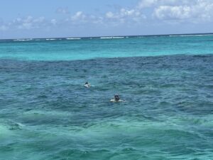 IMG 6868